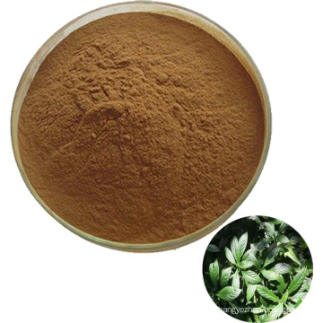 Indigowoad Leaf Extract powder Folium Isatidis P.E./Folium Isatidis extract